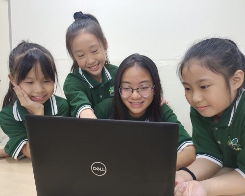 Primary Main Primary Main